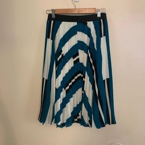 Express Print Skirt